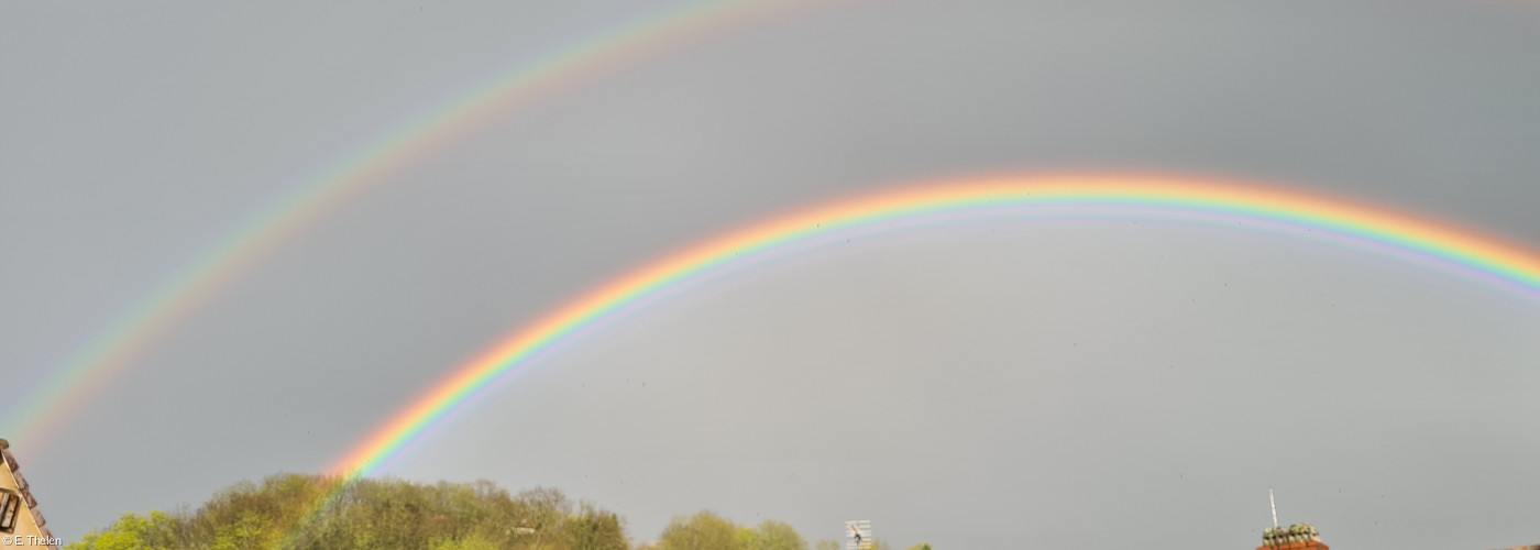 Regenbogen