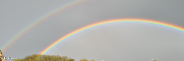 Regenbogen